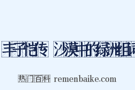 丰子恺传·沙漠中的绿洲组词是什么意思的图片